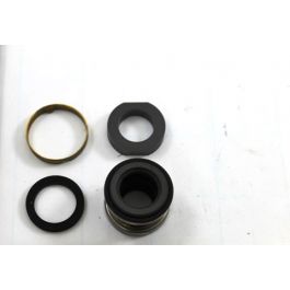 Xylem-Bell & Gossett 185381 Silicon Carbide Seal Kit
