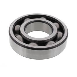 Xylem-Bell & Gossett 186571NG Pump End Bearing