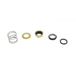Xylem-Bell & Gossett 186834LF EPT Seal Kit
