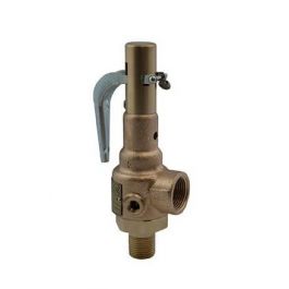 Conbraco Industries 19-KFEA-125 Steam Relief Valve 1" MNPT X 1-1/4" FNPT 125 PSI 2191 PPH
