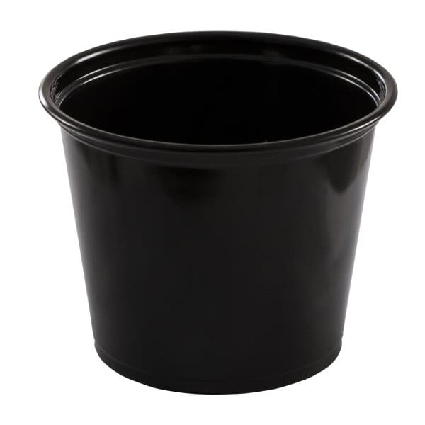 Empress Plastic Portion Cup Case Of 2,500