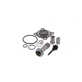 Asco 302-335 Solenoid Valve Repair Kit