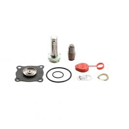 Asco 302-379 Solenoid Valve Repair Kit