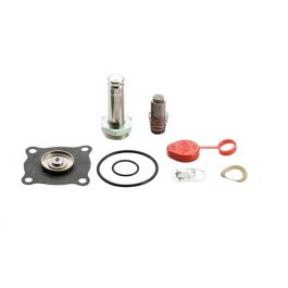 ASCO 310-387 Solenoid Valve Repair Kit
