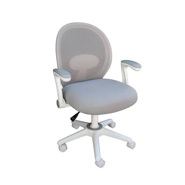 Boss Office Products White Mesh Back Ergonomic Chair Gray/Matching Seat Cushion