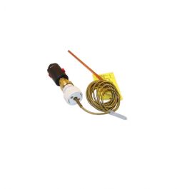 Xylem-Hoffman Specialty 400868 Temperature Pilot 50-200°F 15F' Capillary