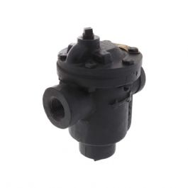 Xylem-Hoffman Specialty 404188 3/4" Bucket W/O Strainer 20#