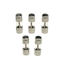 Rheem-Ruud 46-22863-82 Glass Fuse Fast Acting 2A 5-Pack
