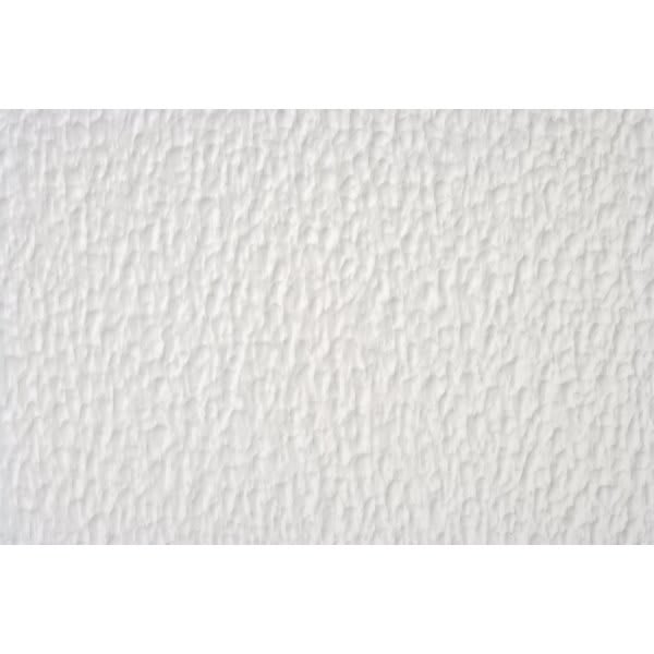 Parkland Performance 2 X 2' Spectra Stucco Ceiling Tile, Package Of 12