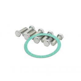Siemens 599-09241 Flange Gasket & Cap Screw Replacement Kit For 2-Way 2-1/2" ANSI 250