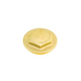 Xylem-Hoffman Specialty 601036 Steam Traps Cap For 8C