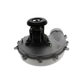 Packard 66833 28MHP Inducer Motor 3000 RPM 115V