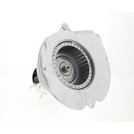 Regal Rexnord - Fasco A184 Draftinducermotor 115V 1Sp