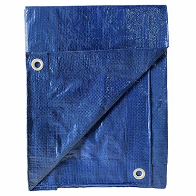 Storage Tarp Cover, Light Blue Polyethylene, 20 x 30-Ft.