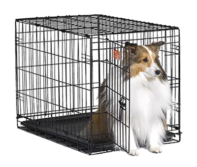 Home Training Dog Crate, 36-In.