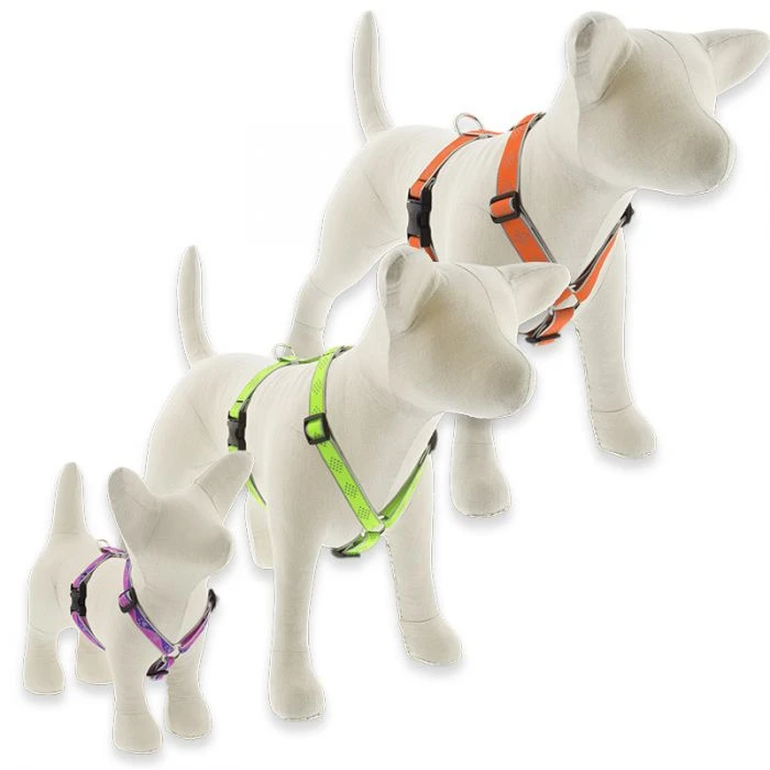 Dog Leash, Reflective Orange Diamond Pattern, 3/4-In. x 6-Ft.