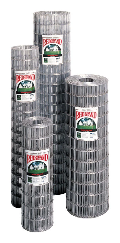 Galvanized Welded Wire Fencing, 14-Gauge, 2x4 Mesh, 60 In. x 100 Ft.