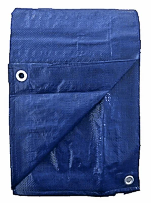 Storage Tarp Cover, Blue Polyethylene, 8 x 10-Ft.