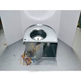 Trane BLW0489 Blower Assembly