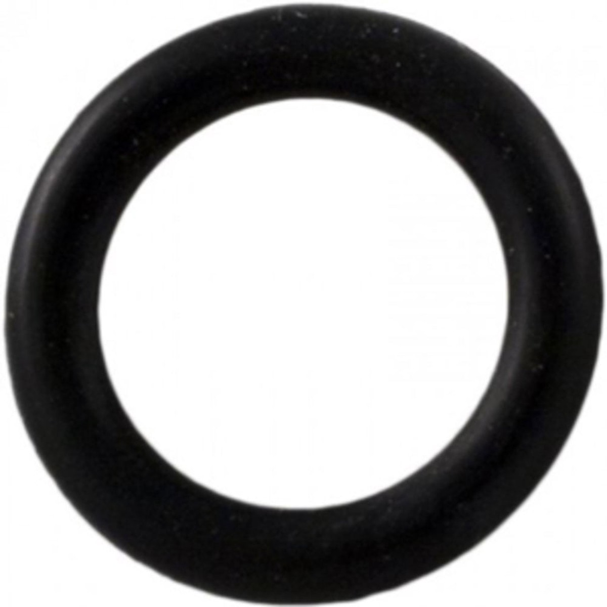 Booster Pump O Ring Drain Plug | Pentair | LA375 | (Fits LA375 Booster Pumps)