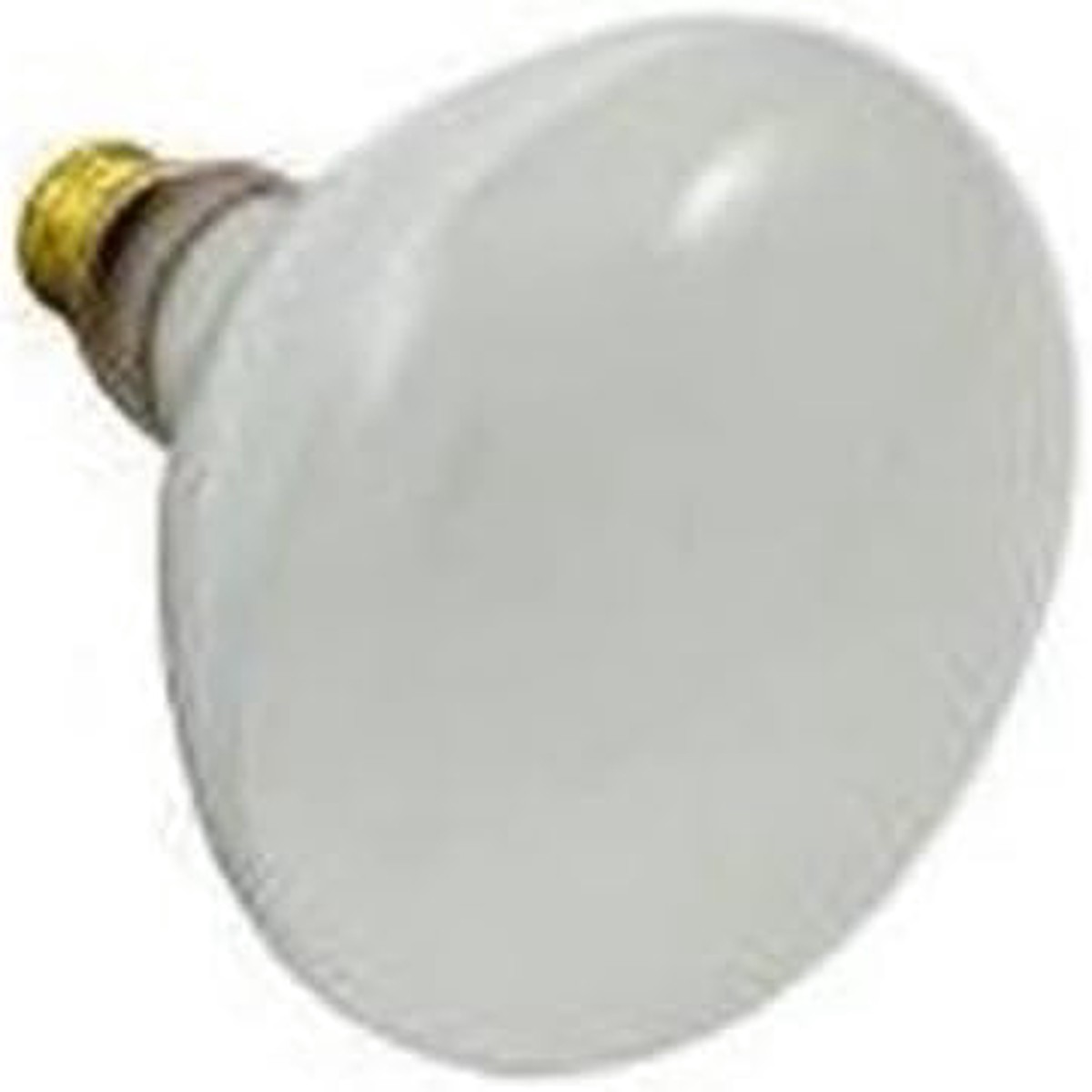 Bulb, 120V/500W | SPX0504Z7