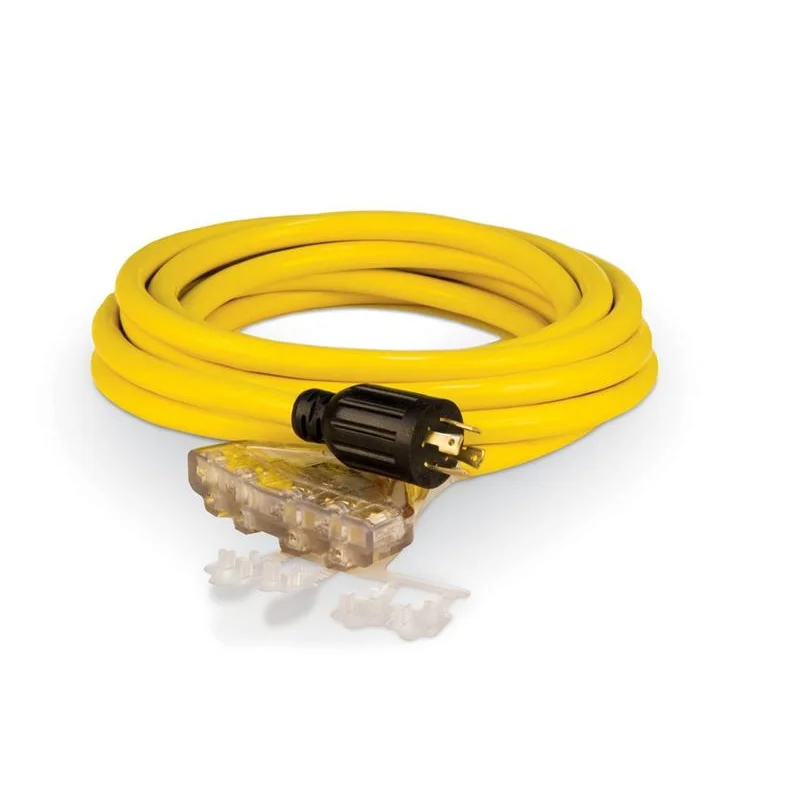 Champion 25ft Heavy Duty Generator Cord L14-30 Twistlock #48036