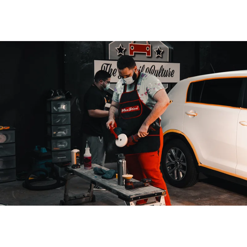 COURSE #4: Paint Restoration System with Rotary Machine