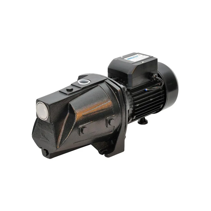 Dayliff DDJ 1100 Domestic Water Pump