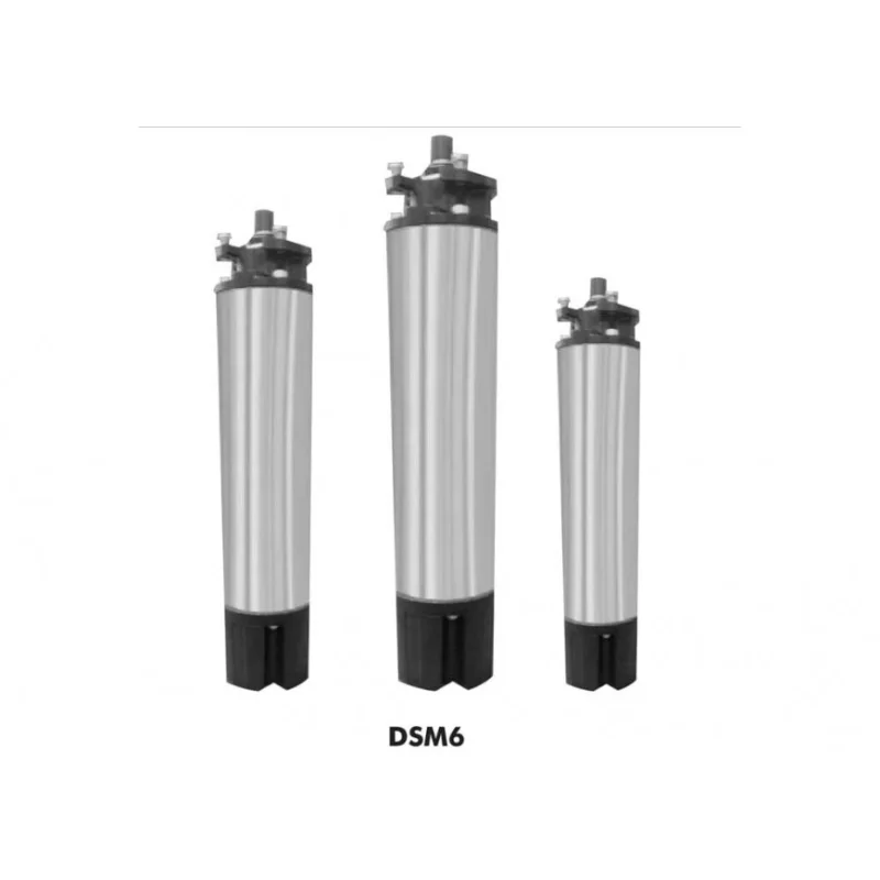 DAYLIFF DSM submersible pump