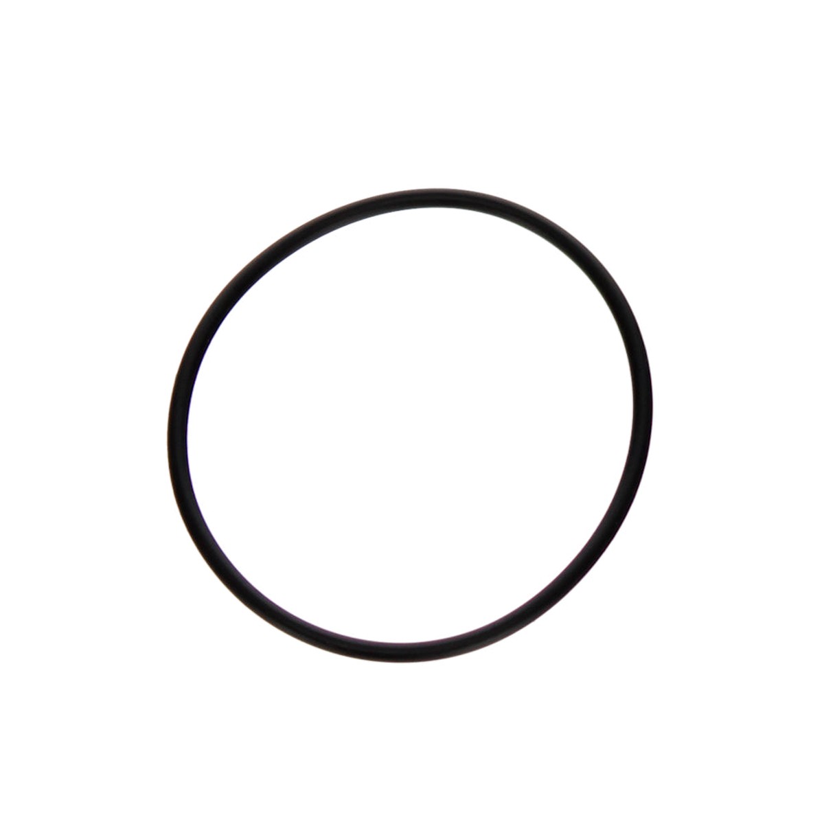 DE Filter O-Ring | Hayward | O-24 | (Compatible With Hayward DE Filters)