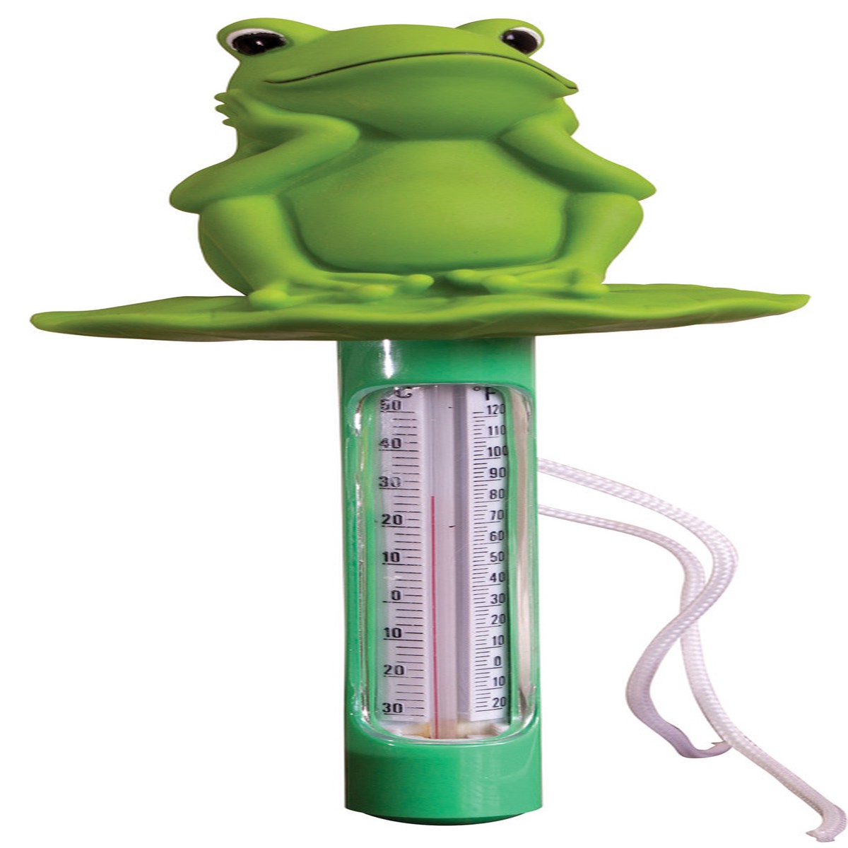 Felix Frog Thermometer
