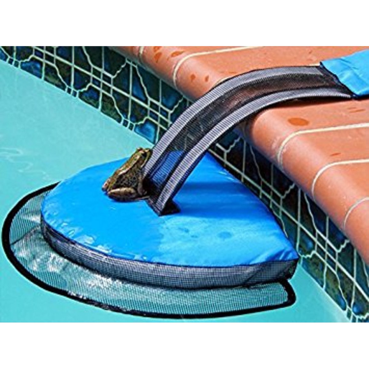 FrogLog Critter Escape Ramp | Swimline | 70200 | Wildlife Safety Feature | Pool Safety Accessory