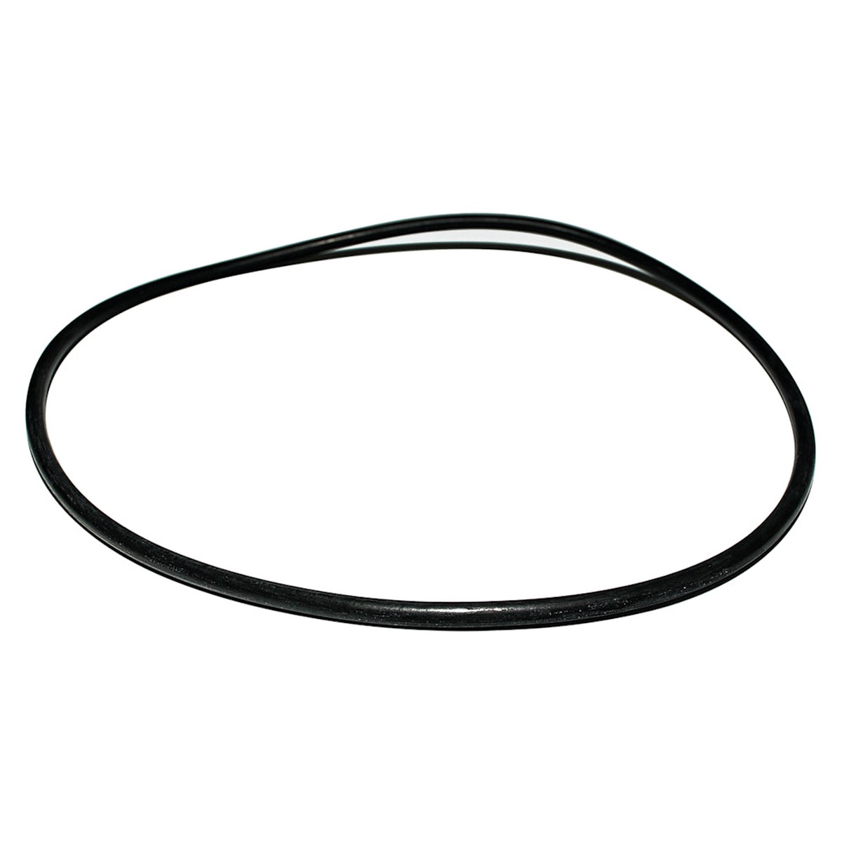 G Cap O Ring Replacement Seal | Zodiac | W13061 (Nature2 Professional)