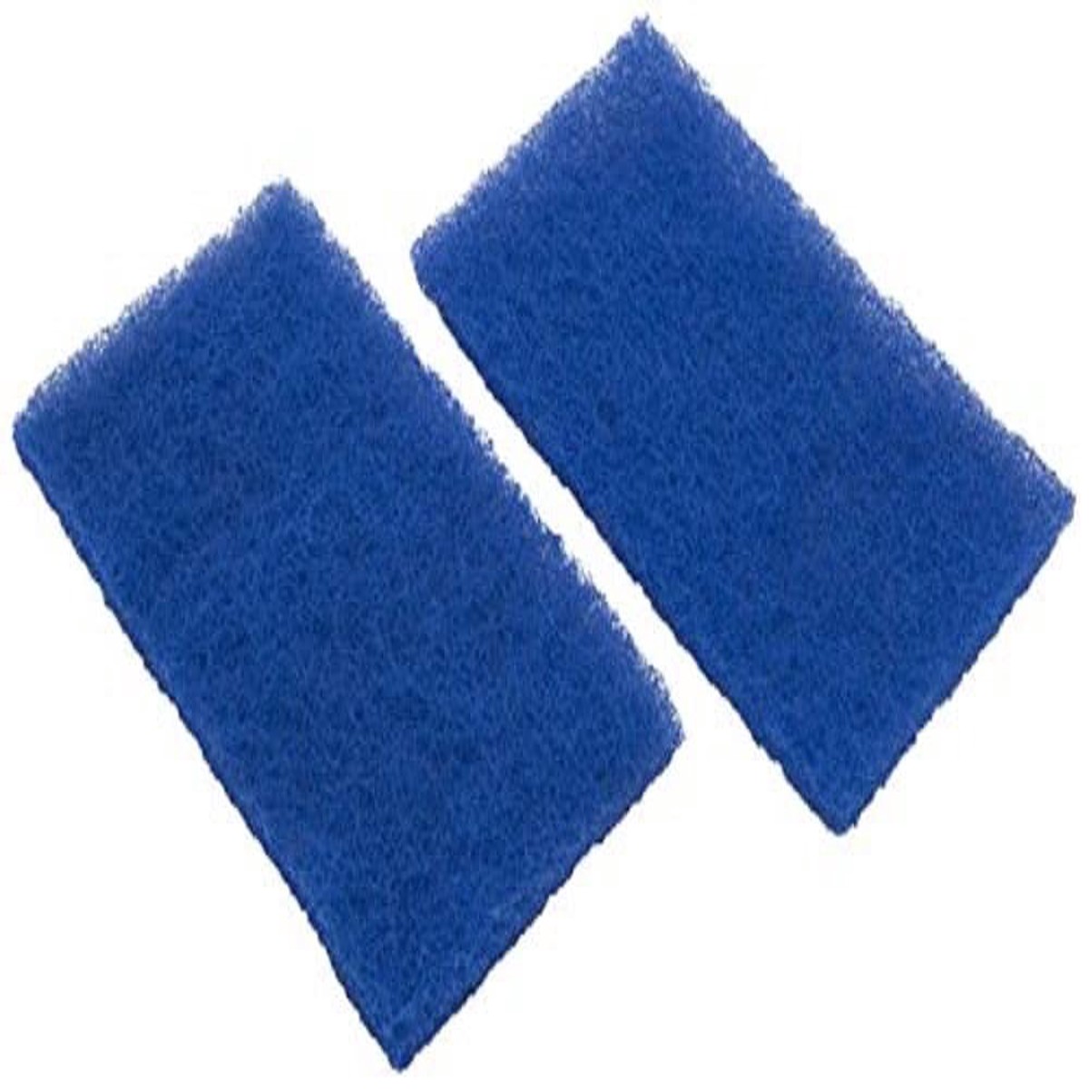 Hayward RCX70103PAK2 Spring Clean Up Filter Replacement for Tigershark and SharkVac Robotic Cleaners, Set of 2