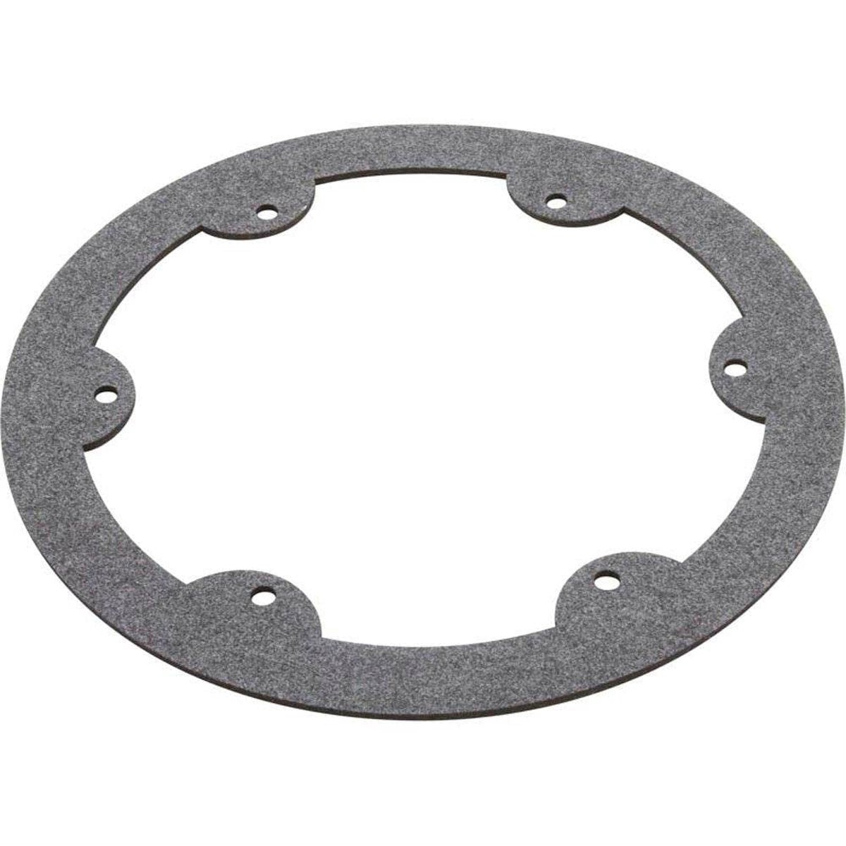 Hayward SPX0608G Gasket Face Ring Replacement for Select Hayward In Ground Lighting Fixture Housings