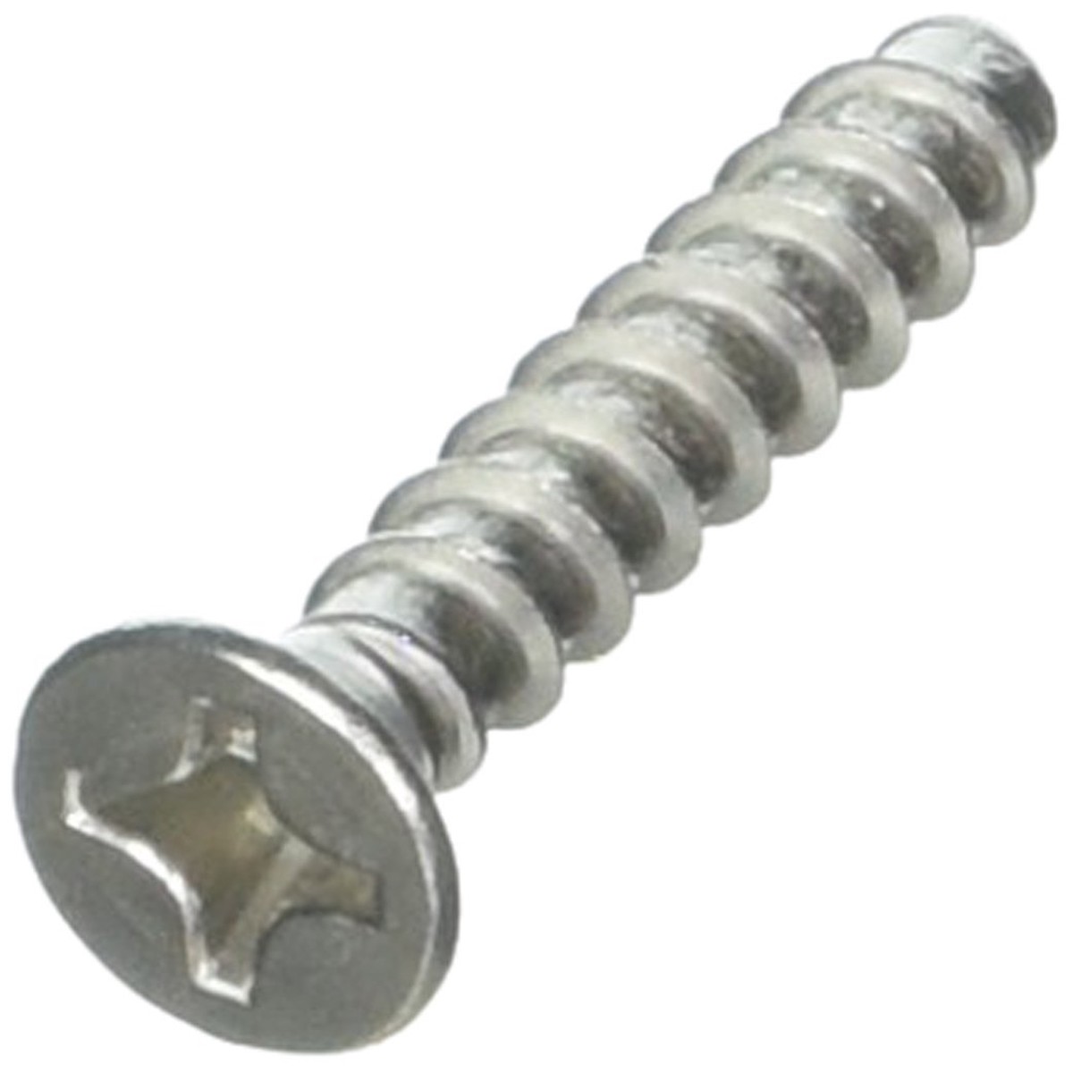 Hayward SPX1030Z1C 1-1/4-Inch Screw Replacement Set for Select Hayward Automatic Skimmers