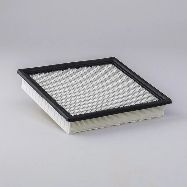 JLG Part # P622149 | D/S,AIR FILTER, PANEL, EA