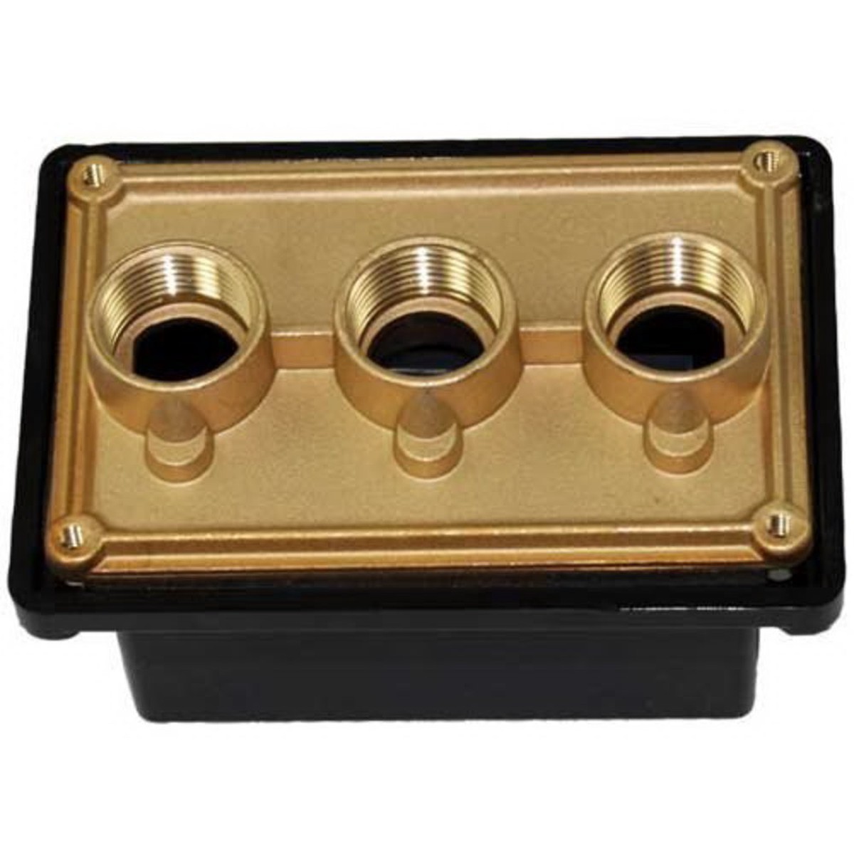 Junction Box Cover | Pentair | Brass Base | 3/4 Inch | Polycarbonate Cover Heavy Duty