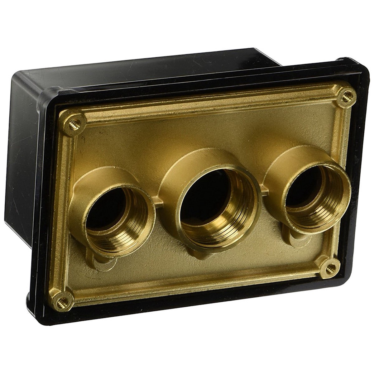 Junction Box | Pentair | Brass Base With Polycarbonate Cover | 3/4 In Ports | Replacement Part