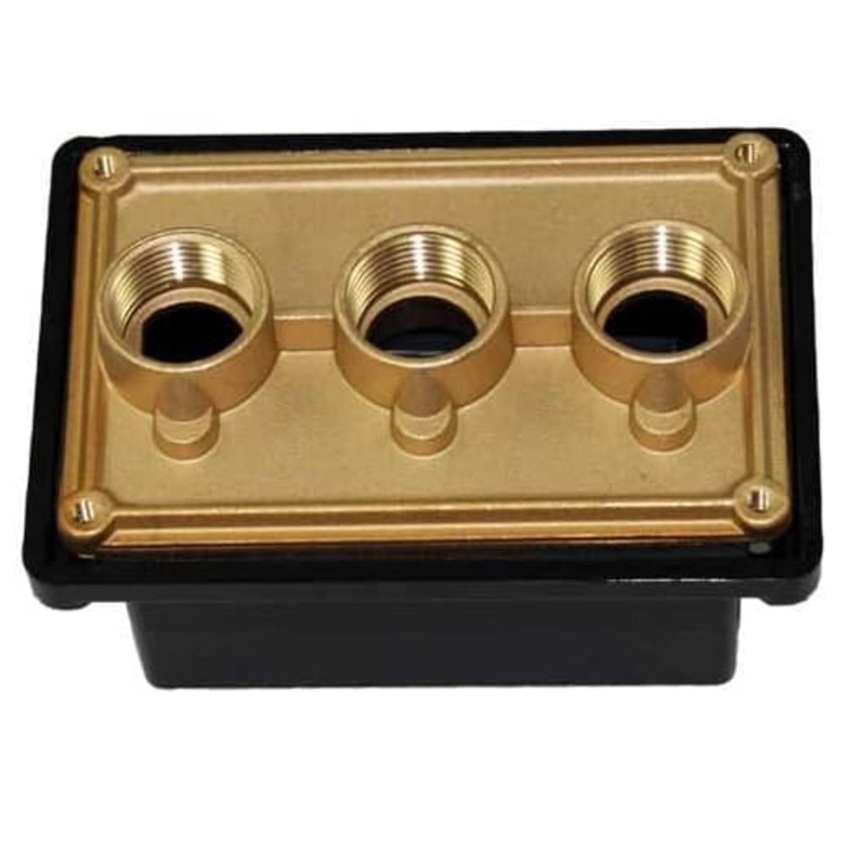 Junction Box | Pentair | Brass Base With Polycarbonate Cover | 3 Ports | Heavy Duty