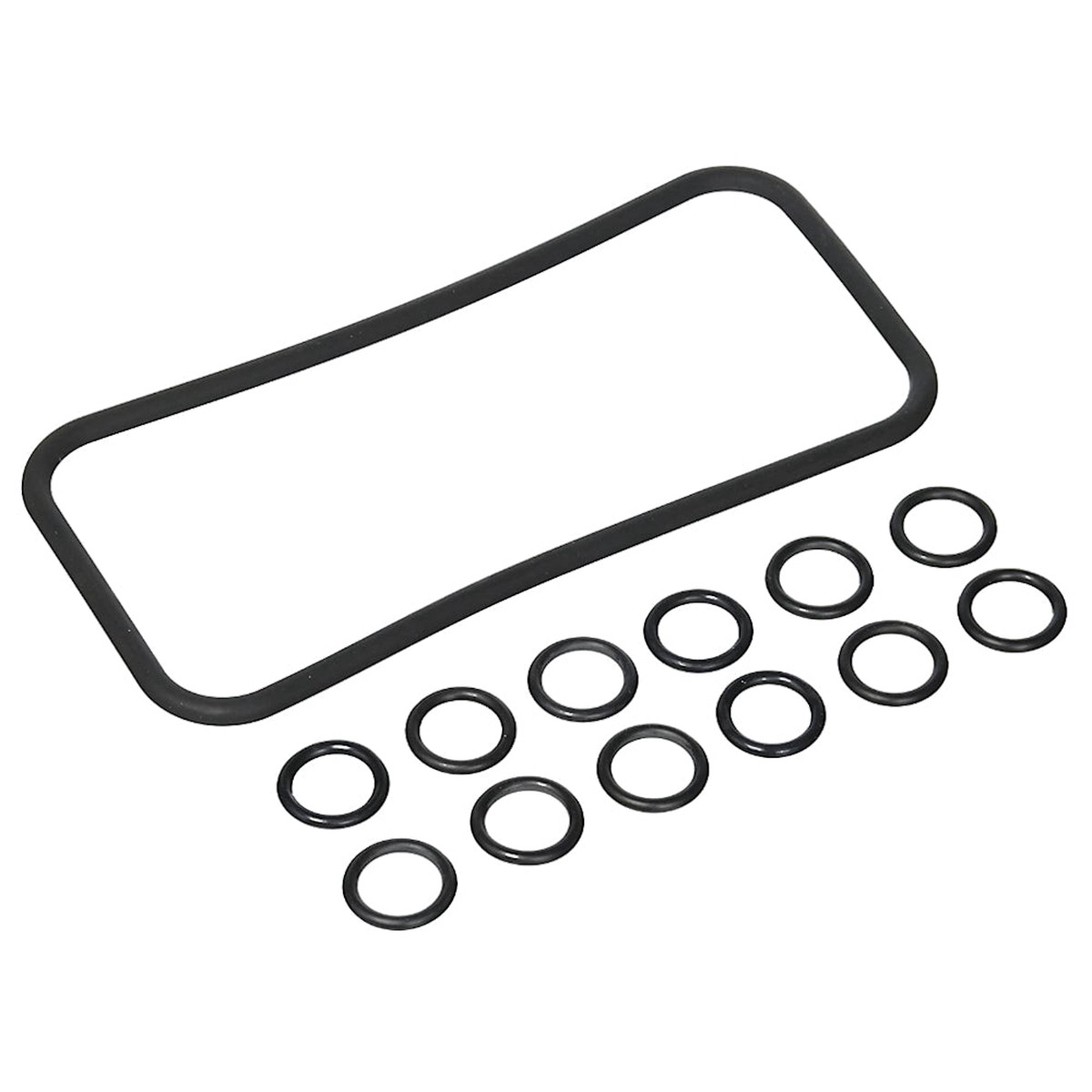 MasterTemp O Ring Kit For Manifold And Tube Sheet | Pentair | 77707-0120 | (MasterTemp & Sta-Rite Max-E-Therm)