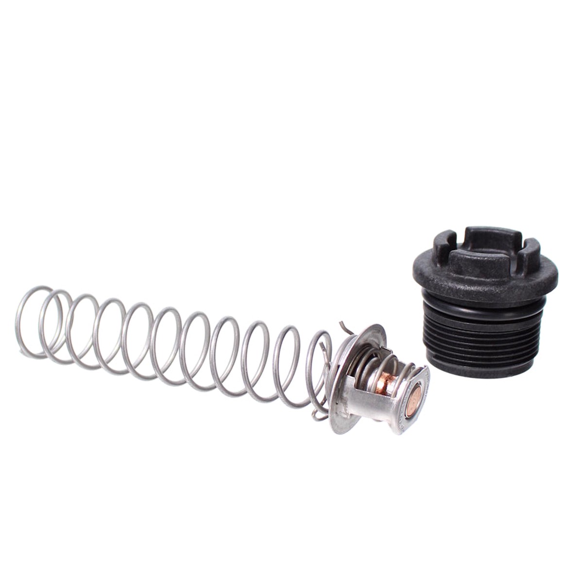 MasterTemp Regulator Kit | Pentair | 77707-0010 | (Universal, MasterTemp And Sta-Rite Max-E-Therm Compatible)