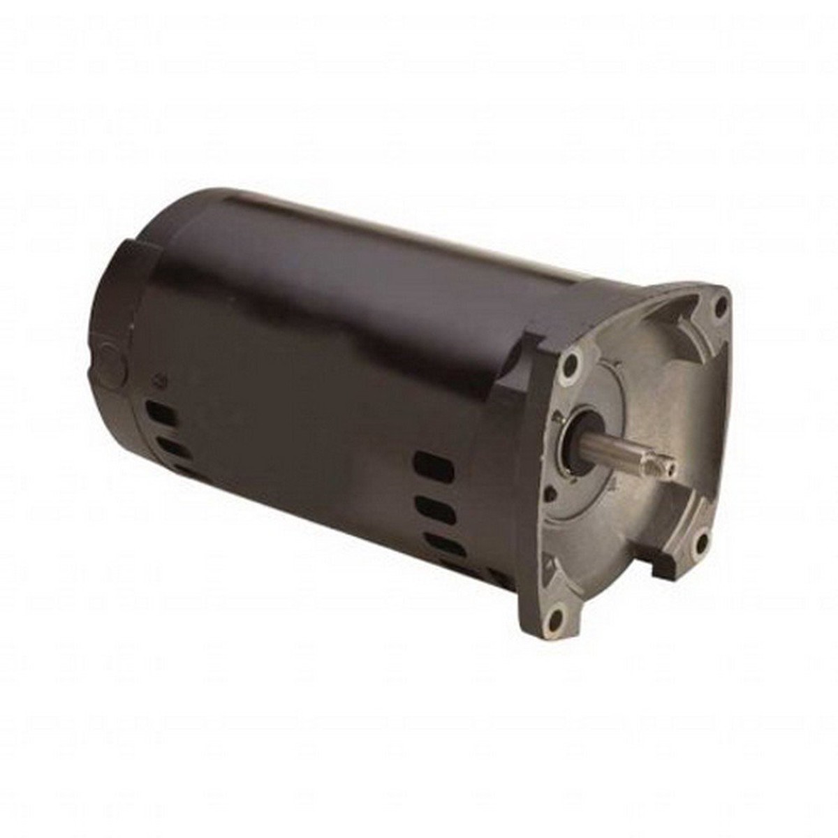 Pen 1HP FR EE 115/230V SQFL MO AE100EHL
