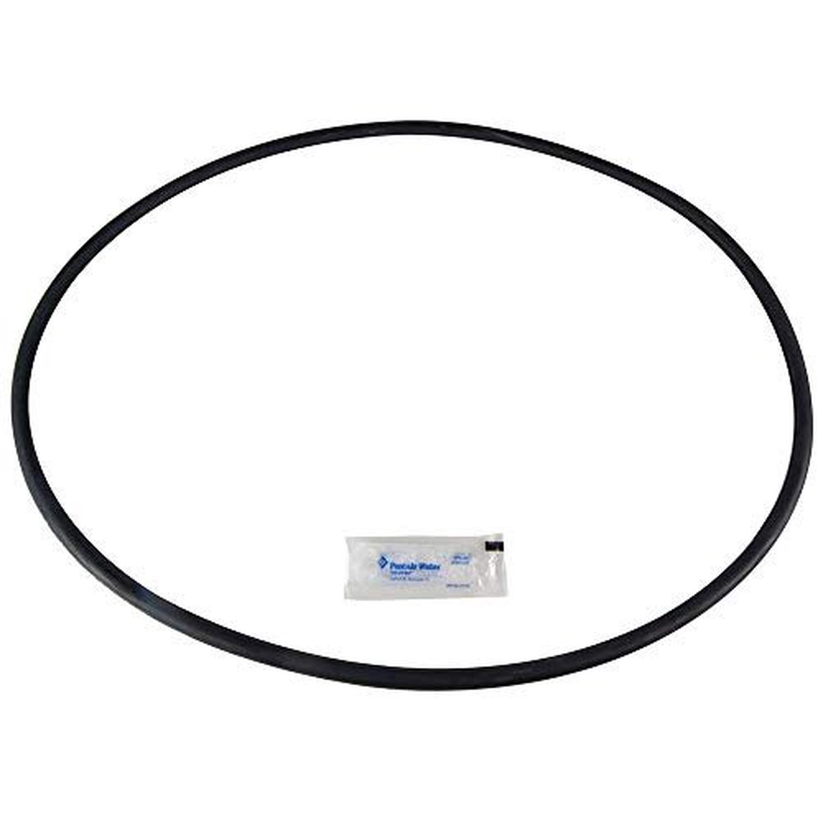 Pentair 27001-0061S Body O-Ring for Tank Replacement for select Sta-Rite Pool and Spa Filters