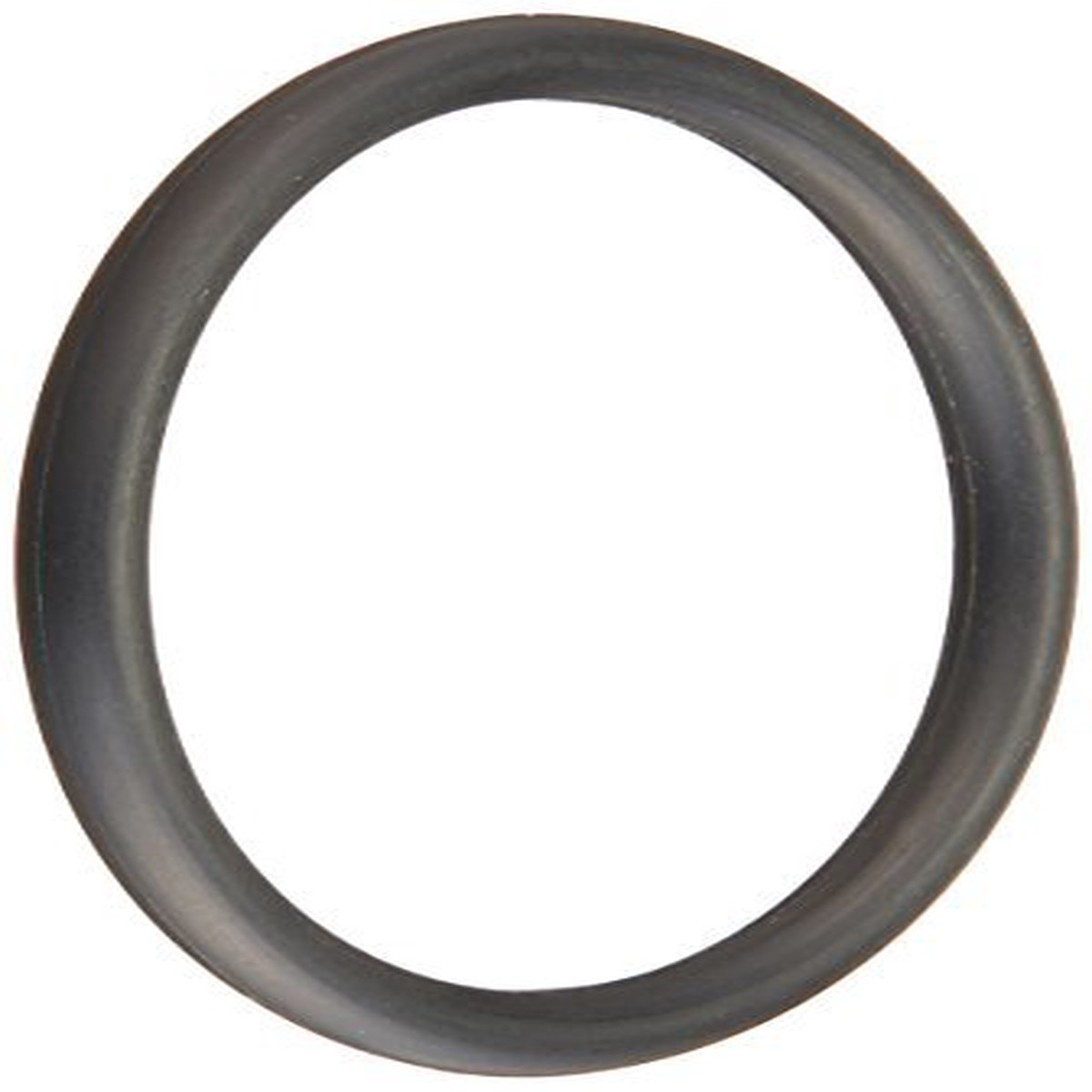 Pentair E21 2 Wall Fitting O-Ring Replacement Automatic Pool Cleaner