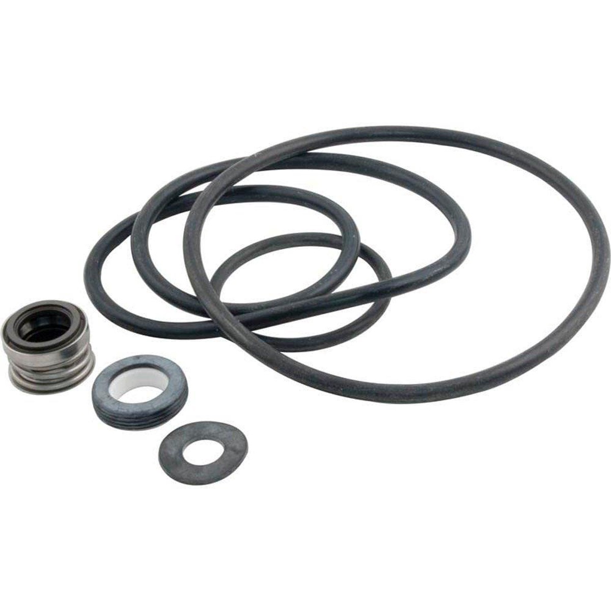 Pentair PP3000 Seal Gasket Replacement Kit Sta-Rite Pool and Spa Pump