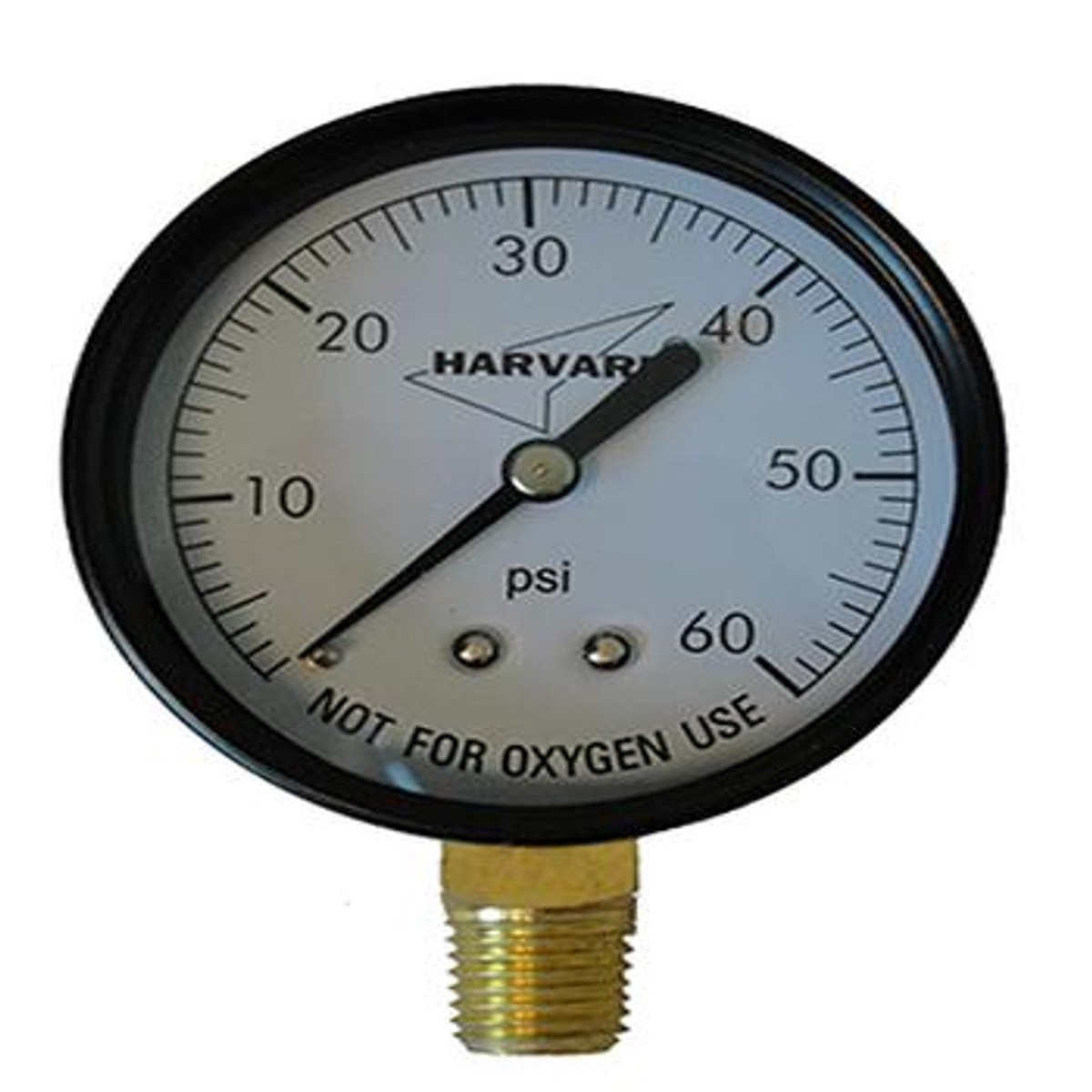 Plastic Pressure Gauge 60 PSI, 2" Dial, 1/4" Lower Mount | IPPG602-4L