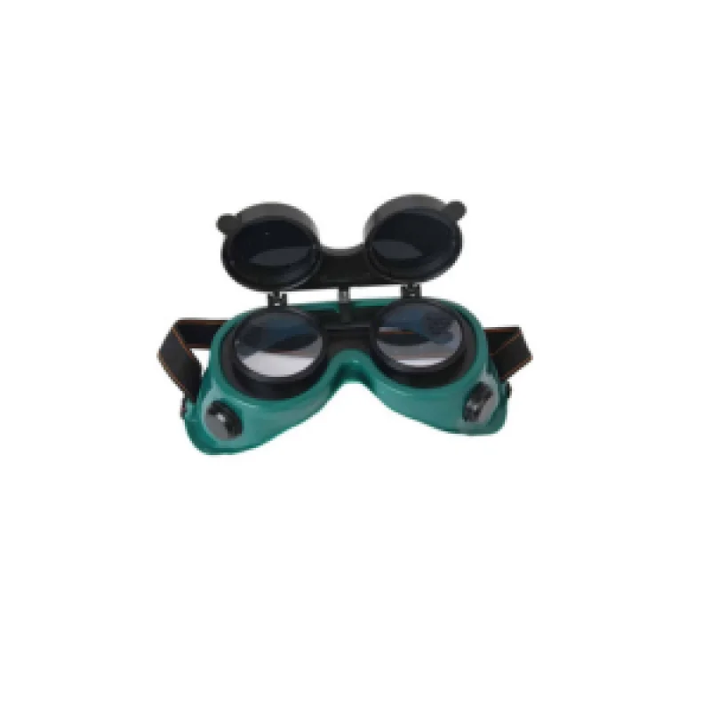Protecta Safety Goggles – Eye Protection