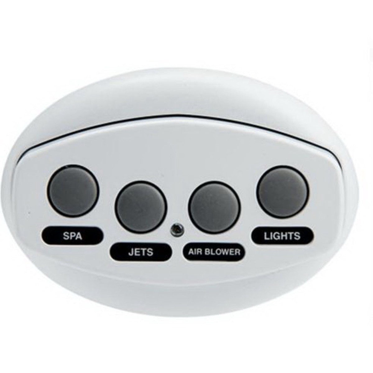Remote | Pentair | iS4 Remote Controller | 100 Feet Cable | White