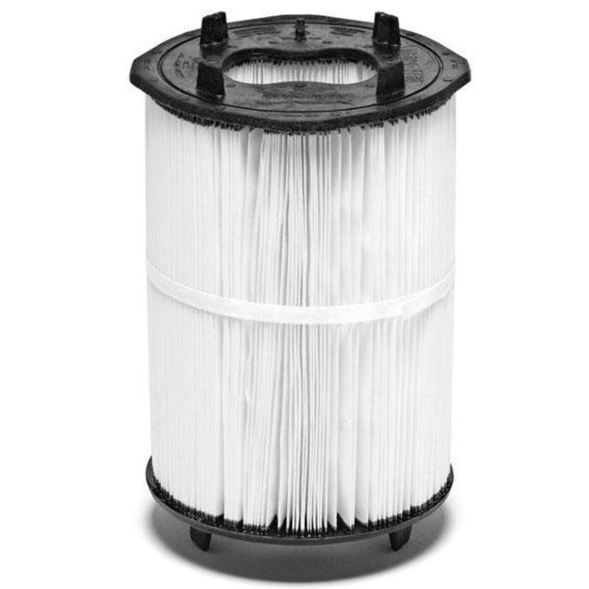Replacement Cartridge | Pentair | PLM100 (Fits Sta-Rite PLM100)